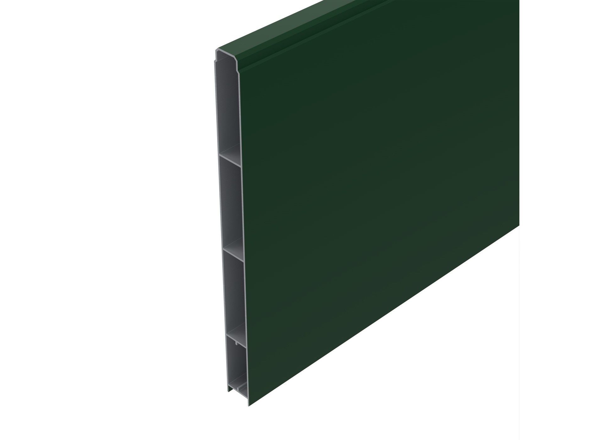 Lame aluminium pleine XL 300 x 1455 mm - 2 lames - 6005C Vert