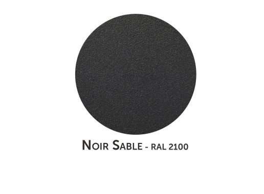 Coloris Noir Sable 2100