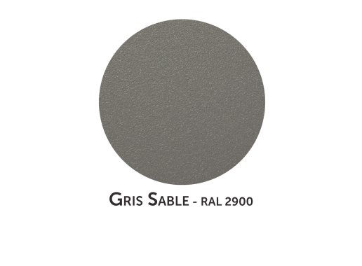Coloris Gris Sable 2900S